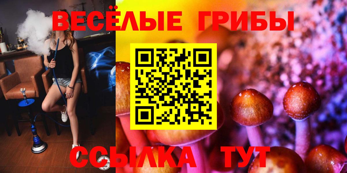 Галлюциногенные грибы ЛСД Дедовск