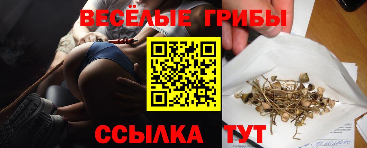 Галлюциногенные грибы ЛСД  Псилоцибиновые грибы мицелий  Вход с VPN  Дедовск 